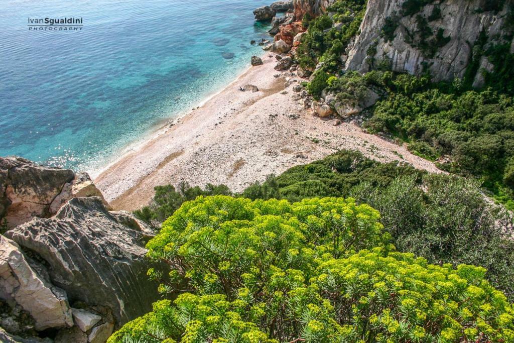 Appartamento Oleandro Cala Gonone Exteriér fotografie